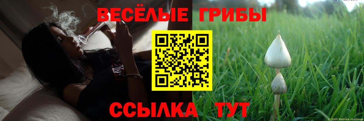 даркнет сайт  Галлюциногенные грибы Cubensis  Вход с VPN  Ликино-Дулёво 
