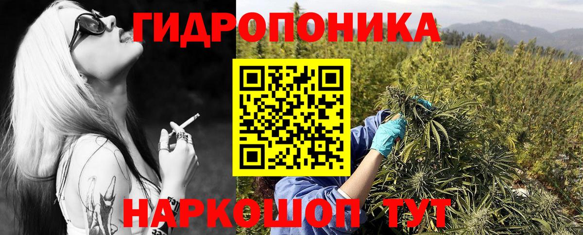 Канабис White Widow Ликино-Дулёво